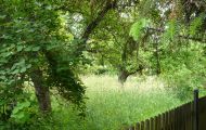 Obstgarten.jpg
